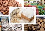 Xuất khẩu nông lâm thủy sản gia tăng các sản phẩm chất lượng cao