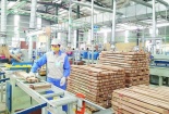 Ngành gỗ nắm bắt cơ hội, sẵn sàng phục hồi sau đại dịch Covid-19