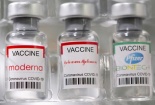 Phát hiện mới về thời gian miễn dịch của ba loại vaccine Pfizer, Moderna và J&J