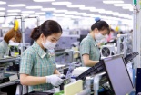 Trong tháng 10/2021, cả nước có 8.233 doanh nghiệp thành lập mới