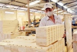 Ngành gỗ chuẩn bị kế hoạch phục hồi sản xuất sau đại dịch Covid-19