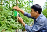 Khoa học công nghệ và đổi mới sáng tạo đóng vai trò quan trong trong chuỗi liên kết sản xuất nông nghiệp