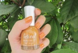 Thu hồi gấp sản phẩm sơn móng tay Felina của Công ty Vẻ đẹp Francia do chứa chất cấm 