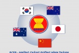 RCEP thiết lập các tiêu chuẩn và cơ chế thống nhất cho toàn bộ khu vực