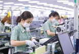Giải pháp giúp doanh nghiệp trụ vững trong bối cảnh dịch Covid-19