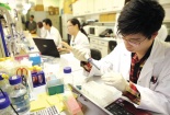 Thúc đẩy khoa học công nghệ và đổi mới sáng tạo để bắt kịp với thời đại