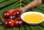 Cảnh báo thành phần có trong thực phẩm chế biến sẵn gây ảnh hưởng nghiêm trọng đến sức khỏe