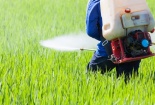 Cảnh báo: Buôn bán thuốc bảo vệ thực vật chứa chất cấm lộng hành, quy mô lớn