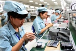 Áp dụng giải pháp về tiêu chuẩn, quy chuẩn kỹ thuật, nâng cao năng suất chất lượng sản phẩm