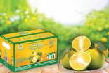 Thu hồi chứng nhận 5 sản phẩm OCOP tại tỉnh Hà Tĩnh