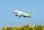 'Đại hội' siêu sale vé bay chào Black Friday của Bamboo Airways chỉ từ 26.000 đồng