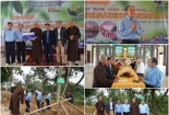 Tạp chí Kinh tế Môi trường trao quà từ thiện, trồng cây xanh tại Nghệ An