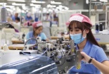 Doanh nghiệp đăng ký thành lập mới tăng mạnh 