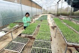 Thúc đẩy chuyển đổi số vào các hợp tác xã nông nghiệp