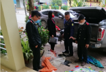 Lào Cai: Xử lý lô thuốc bảo vệ thực vật vô chủ 