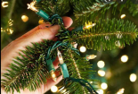 Giáng sinh: Cẩn trọng khi dùng đèn trang trí cây thông Noel