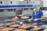Hỗ trợ doanh nghiệp đổi mới công nghệ: Những bài học từ thế giới