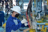 Quảng Nam: Đưa năng suất, chất lượng trở thành động lực phát triển