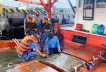 Đồng Tháp: Tăng cường kiểm tra, giám sát ngăn chặn buôn lậu xăng dầu trên tuyến biên giới