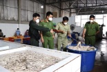 Đồng Nai: Phát hiện 10 tấn nội tạng heo không rõ nguồn gốc xuất xứ