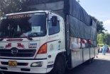 An Giang: Liên tiếp tạm giữ 4 xe chở hàng không rõ nguồn gốc xuất xứ