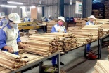 Năm 2021 ngành gỗ xuất siêu hơn 12 tỷ USD