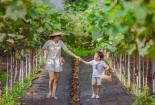 Hà Nội vào mùa du lịch 'tại chỗ'