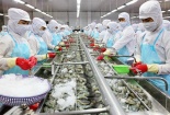 Dự báo năm 2021 xuất khẩu thủy sản cán đích trên 8,8 tỷ USD
