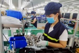 Bạc Liêu: Năng suất trở thành động lực phát triển của các ngành, lĩnh vực