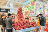 Đẩy mạnh tiêu thụ thanh long trong nước, đồng hành cùng người nông dân