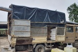 Quảng Trị: Bắt xe tải chở 200 kg sản phẩm động vật không rõ nguồn gốc