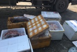Ngăn chặn trên 200 kg nội tạng động vật không rõ nguồn gốc đang trên đường tiêu thụ