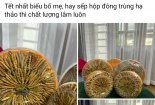 Bùng nổ quà tặng đông trùng hạ thảo dịp Tết: Khó nhận biết chất lượng 