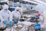 Từng bước nâng cao năng suất chất lượng ngành công nghiệp chế biến thủy sản