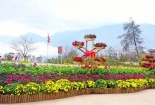 Giới trẻ nô nức trẩy Hội xuân mở cổng trời tại Fansipan 