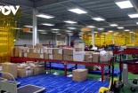 Người mua sắm online quan tâm nhiều hơn đến hàng chính hãng