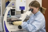 Brahat Biotech: Phát triển vaccine ngăn chặn Covid-19 bằng đường mũi