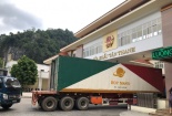 Lạng Sơn: Hơn 300 xe hàng hoa quả và nông sản được thông quan dịp Tết