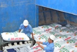 Xuất khẩu phân bón tăng trưởng 682% trong tháng đầu năm