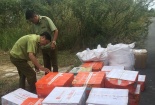 Bình Định: Tăng cường kiểm tra, xử lý các hành vi vi phạm gian lận thương mại