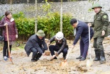 Hà Nội- Trồng 100.000 cây gỗ quý trên diện tích 100 ha tại Vườn Quốc gia Ba Vì