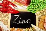 Vai trò của kẽm ZinC đối với cơ thể