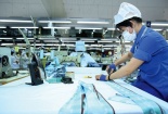Hậu Giang: Thúc đẩy phát triển doanh nghiệp công nghệ số Việt Nam
