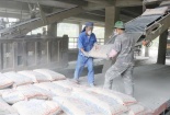 Giới hạn bụi tại nơi làm việc được yêu cầu trong QCVN 02:2019/BYT như thế nào?