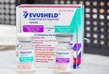 Kháng thể đơn dòng Evusheld là thuốc, không thể thay thế vaccine COVID - 19