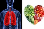 Các loại Vitamin tốt cho phổi