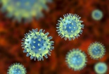 Phát hiện loại virus có thể vô hiệu hóa vi khuẩn kháng kháng sinh