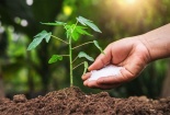 Quy định mới nhất của EU và Nhật Bản về mặt hàng phân bón