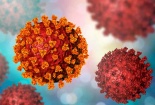 Phát triển thành công bóng đèn LED tiêu diệt virus SARS-CoV-2