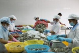 Quy định mới về dư lượng thủy ngân trong thủy sản và muối tại thị trường EU 